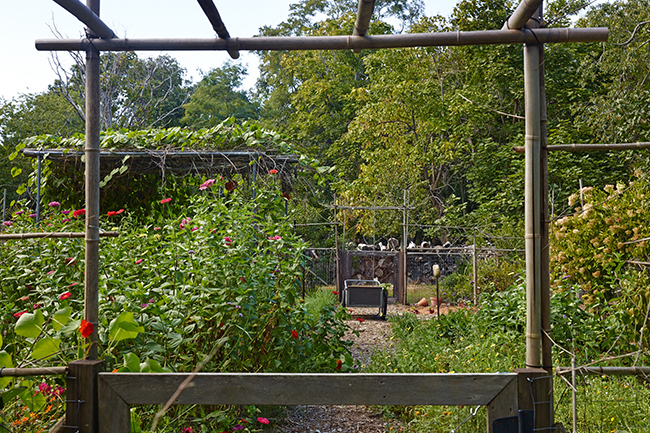 Digging Deeper: Special Programs at Edwina von Gal's Marsh House